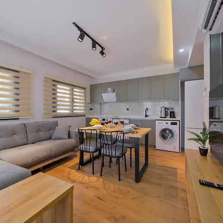 Light Apartment *
