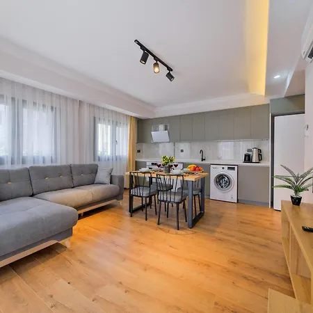 Light 公寓 费特希耶